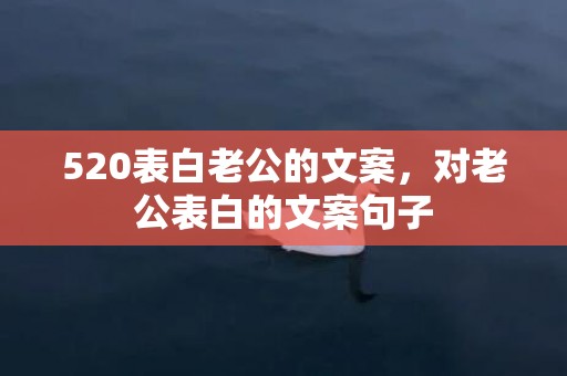 520表白老公的文案，对老公表白的文案句子
