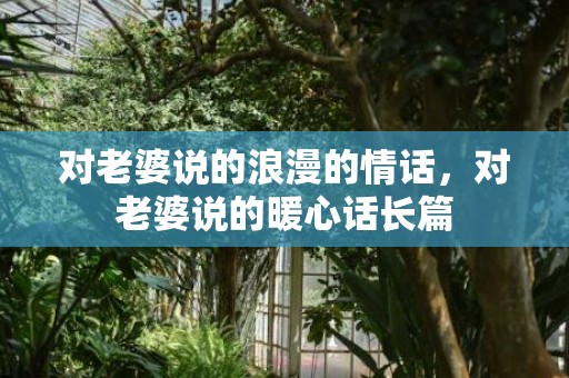 对老婆说的浪漫的情话，对老婆说的暖心话长篇