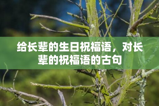 给长辈的生日祝福语，对长辈的祝福语的古句
