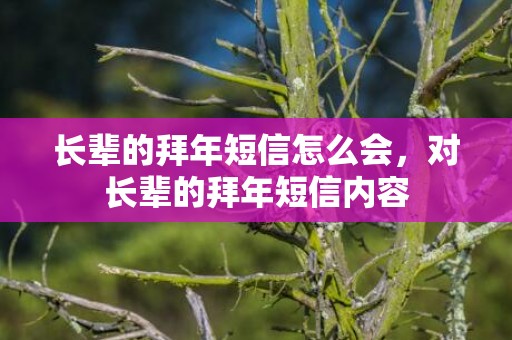 长辈的拜年短信怎么会，对长辈的拜年短信内容
