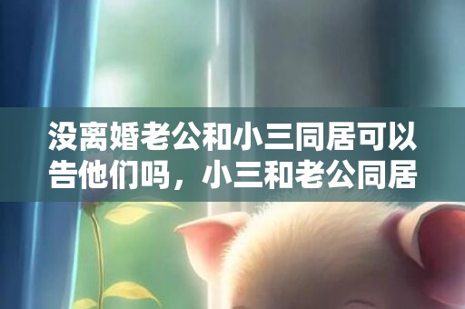 没离婚老公和小三同居可以告他们吗，小三和老公同居多久算重婚