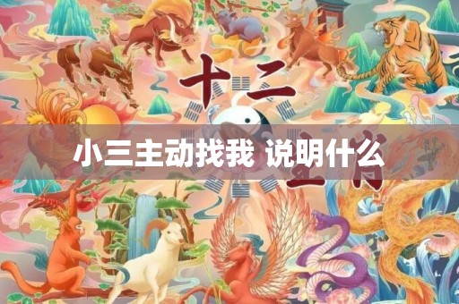 小三主动找我 说明什么
