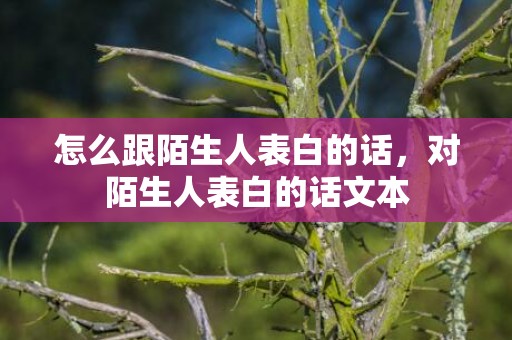 怎么跟陌生人表白的话，对陌生人表白的话文本