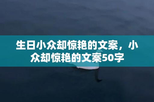 生日小众却惊艳的文案，小众却惊艳的文案50字