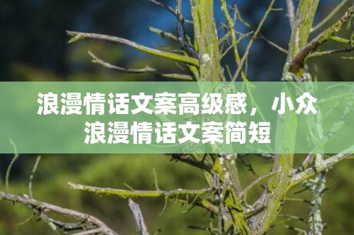 浪漫情话文案高级感，小众浪漫情话文案简短