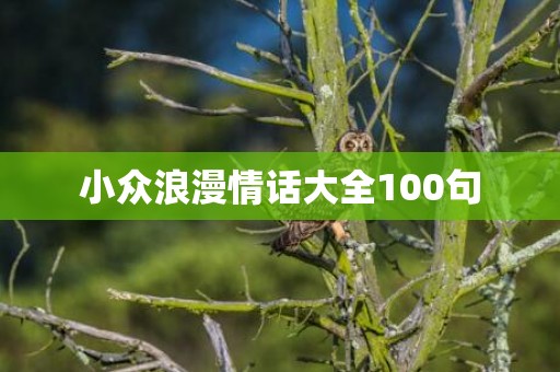 小众浪漫情话大全100句
