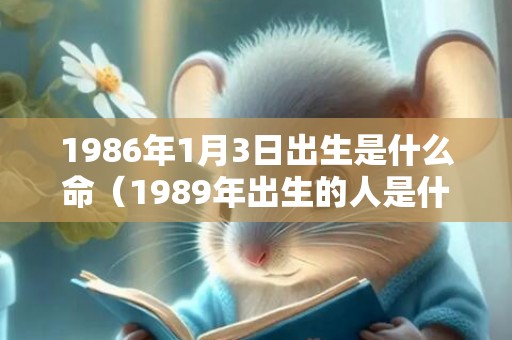 1986年1月3日出生是什么命（1989年出生的人是什么命）