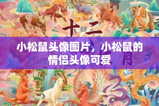 小松鼠头像图片，小松鼠的情侣头像可爱
