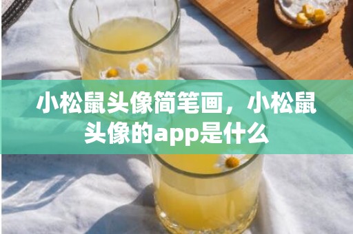 小松鼠头像简笔画，小松鼠头像的app是什么