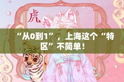 “从0到1”，上海这个“特区”不简单！