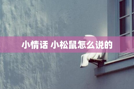 小情话 小松鼠怎么说的