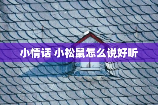 小情话 小松鼠怎么说好听