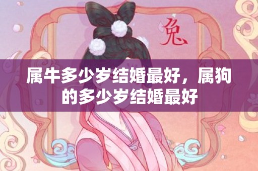 属牛多少岁结婚最好，属狗的多少岁结婚最好