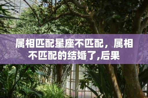 属相匹配星座不匹配，属相不匹配的结婚了,后果