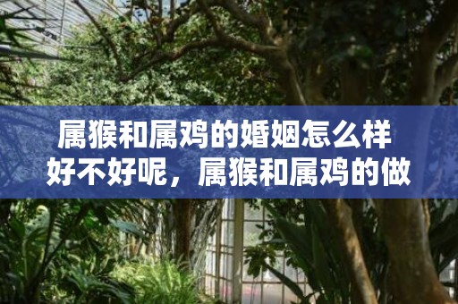 属猴和属鸡的婚姻怎么样 好不好呢，属猴和属鸡的做夫妻好吗