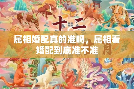 属相婚配真的准吗，属相看婚配到底准不准