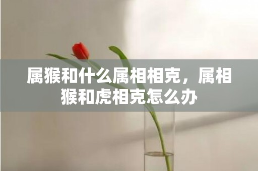 属猴和什么属相相克，属相猴和虎相克怎么办