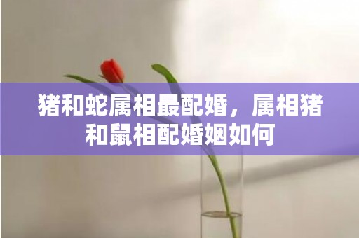 猪和蛇属相最配婚，属相猪和鼠相配婚姻如何
