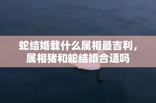 蛇结婚载什么属相最吉利，属相猪和蛇结婚合适吗