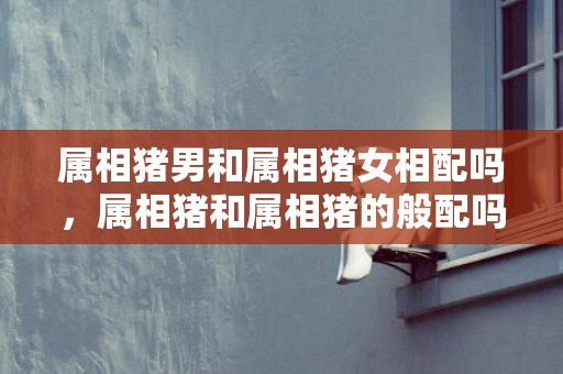 属相猪男和属相猪女相配吗，属相猪和属相猪的般配吗