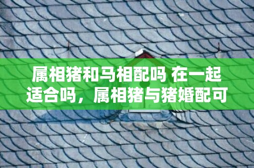 属相猪和马相配吗 在一起适合吗，属相猪与猪婚配可以吗