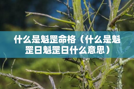 什么是魁罡命格（什么是魁罡日魁罡日什么意思）