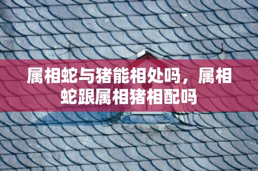属相蛇与猪能相处吗，属相蛇跟属相猪相配吗
