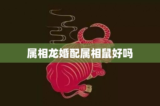 属相龙婚配属相鼠好吗