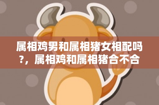 属相鸡男和属相猪女相配吗?，属相鸡和属相猪合不合