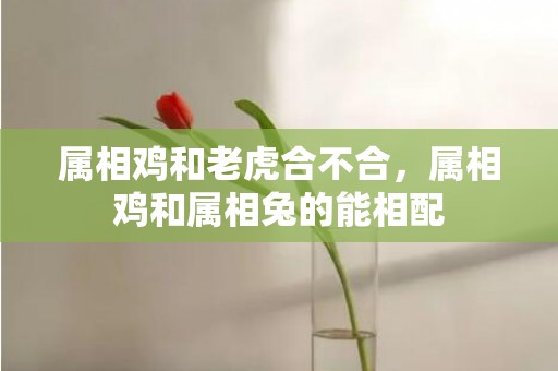 属相鸡和老虎合不合，属相鸡和属相兔的能相配