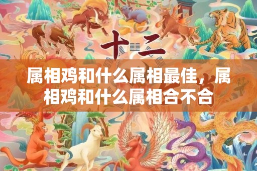 属相鸡和什么属相最佳，属相鸡和什么属相合不合