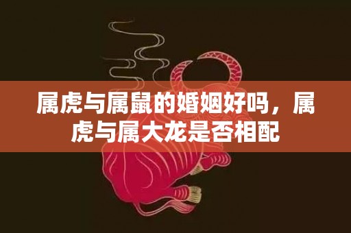 属虎与属鼠的婚姻好吗，属虎与属大龙是否相配
