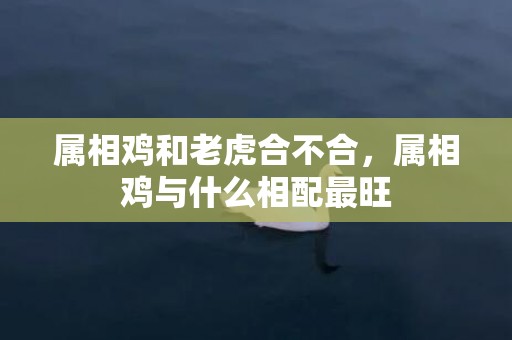 属相鸡和老虎合不合，属相鸡与什么相配最旺