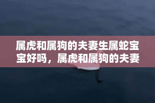属虎和属狗的夫妻生属蛇宝宝好吗，属虎和属狗的夫妻结局