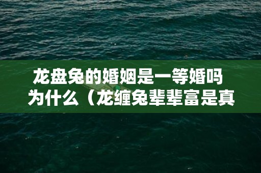 龙盘兔的婚姻是一等婚吗 为什么（龙缠兔辈辈富是真的吗龙盘兔的婚姻是一等婚）