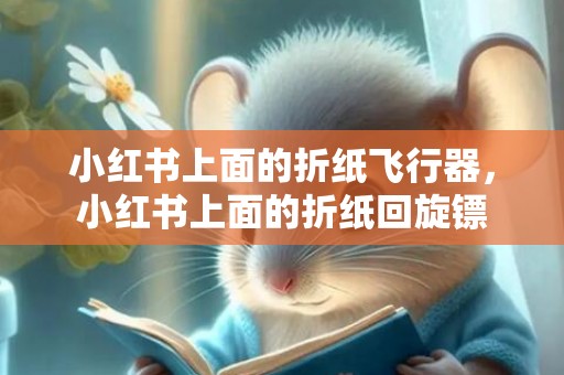 小红书上面的折纸飞行器，小红书上面的折纸回旋镖