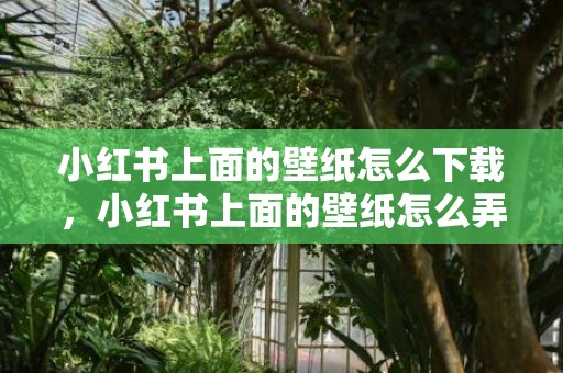 小红书上面的壁纸怎么下载，小红书上面的壁纸怎么弄