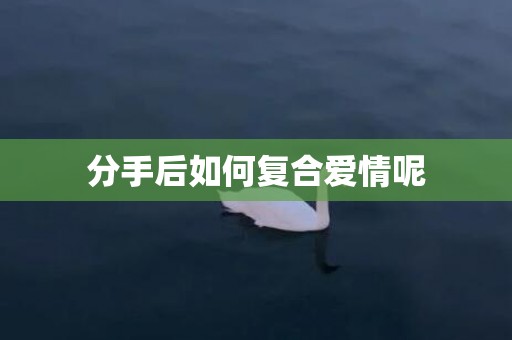 分手后如何复合爱情呢