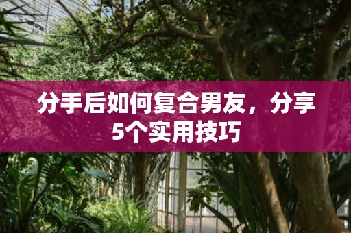 分手后如何复合男友，分享5个实用技巧
