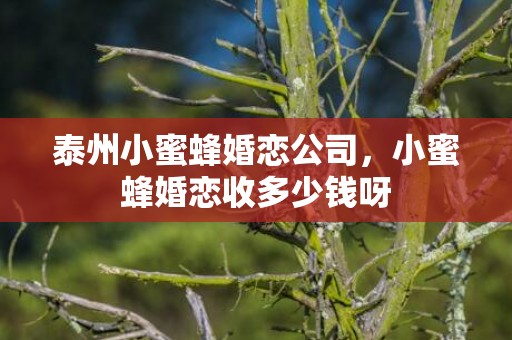 泰州小蜜蜂婚恋公司，小蜜蜂婚恋收多少钱呀