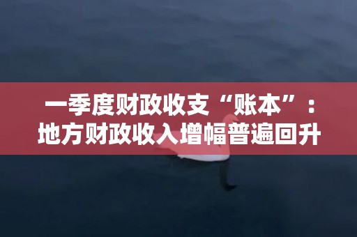一季度财政收支“账本”：地方财政收入增幅普遍回升