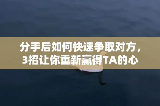 分手后如何快速争取对方，3招让你重新赢得TA的心
