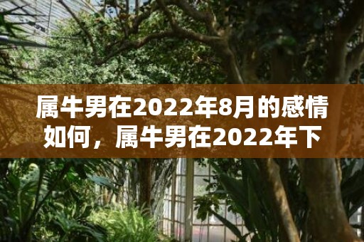 属牛男在2022年8月的感情如何，属牛男在2022年下半年财运平平,感情方面易吃亏