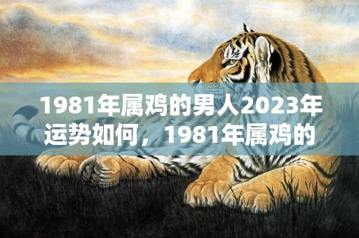 1981年属鸡的男人2023年运势如何，1981年属鸡的吉祥物 布艺平安结确保事事顺利圆满