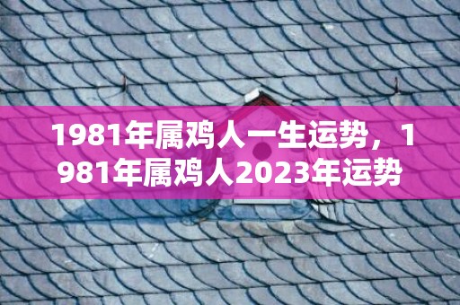 1981年属鸡人一生运势，1981年属鸡人2023年运势及运程男 事业财运有虾滑需小心维护