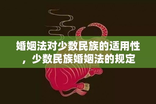 婚姻法对少数民族的适用性，少数民族婚姻法的规定