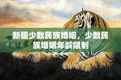 新疆少数民族婚姻，少数民族婚姻年龄限制