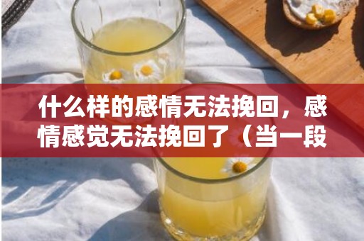 什么样的感情无法挽回，感情感觉无法挽回了（当一段感情无法挽回了怎么办）