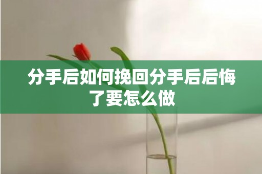 分手后如何挽回分手后后悔了要怎么做