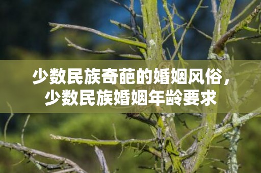 少数民族奇葩的婚姻风俗，少数民族婚姻年龄要求